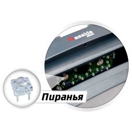 Универсальный детектор валют Cassida 2300 series